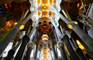 Beautifully illuminated ceiling of Sagrada Familia showcasing its intricate architectural design in Barcelona, Spain.