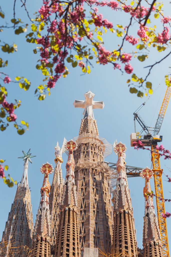 Vibrant spring view of the Sagrada Familia in Barcelona, framed by blossoming branches.